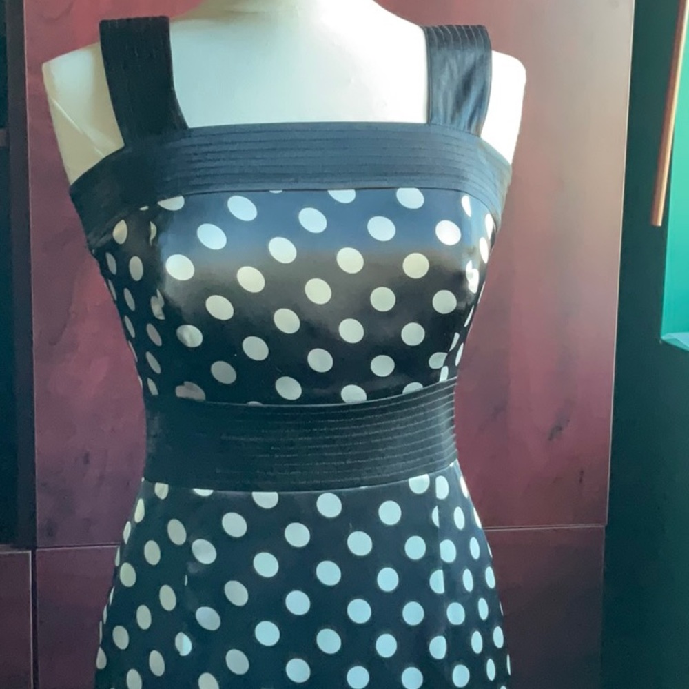 BCBGMaxAzaria Dress / Size XS